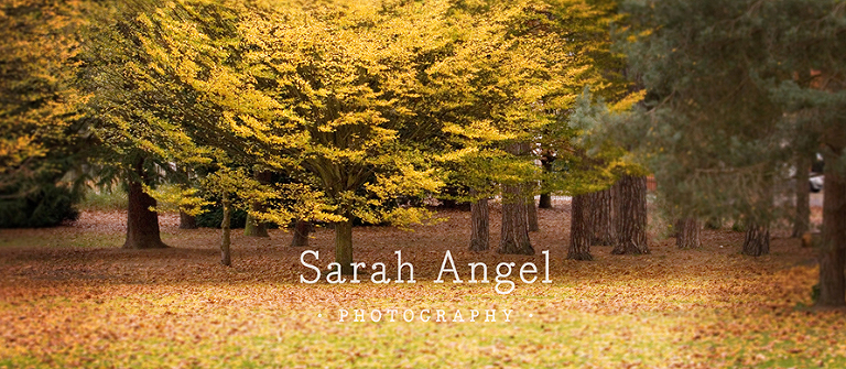 3W_AutumnAngel_Sarah_Angel_Photography