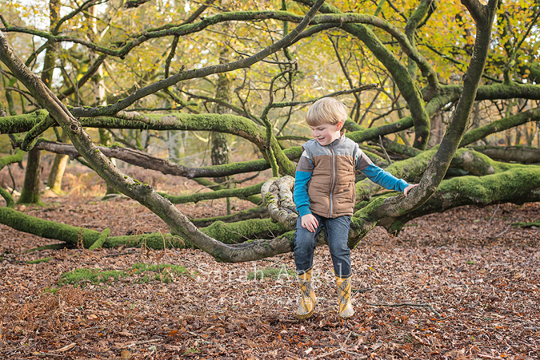 03SarahAngelPhotography_newForest