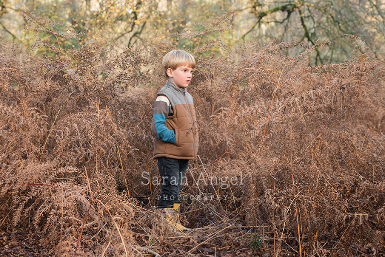06SarahAngelPhotography_newForest