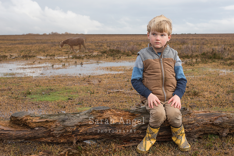 08SarahAngelPhotography_newForest