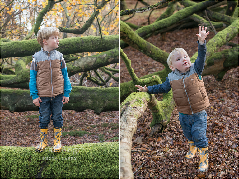 12SarahAngelPhotography_newForest