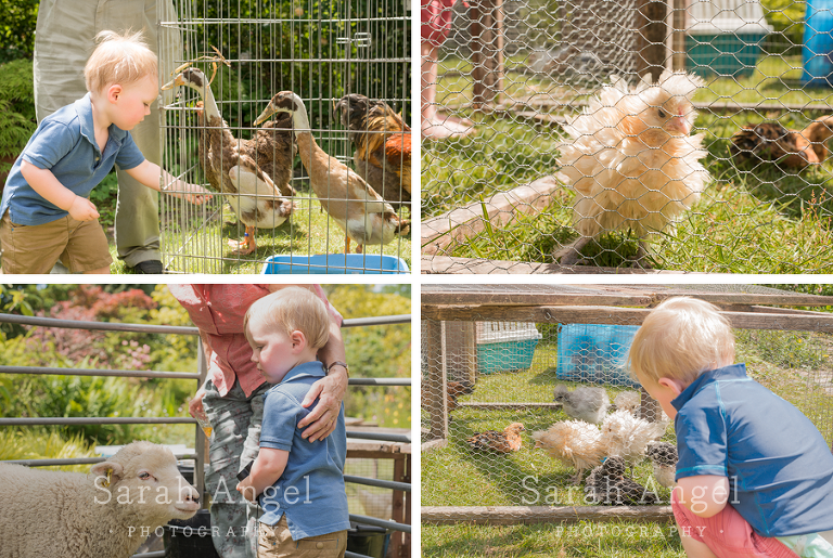 12_T2birthday_SarahAngelPhotography