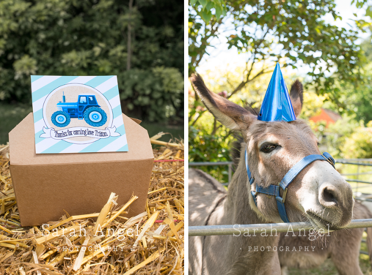 15_T2birthday_SarahAngelPhotography