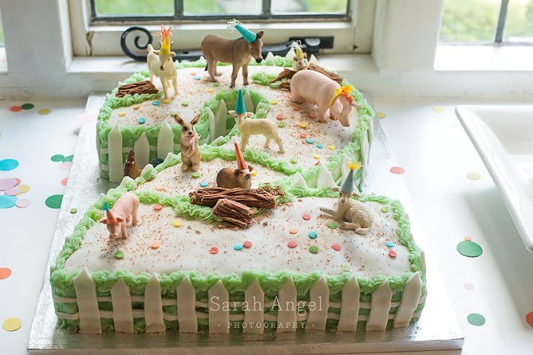 3_T2birthday_SarahAngelPhotography