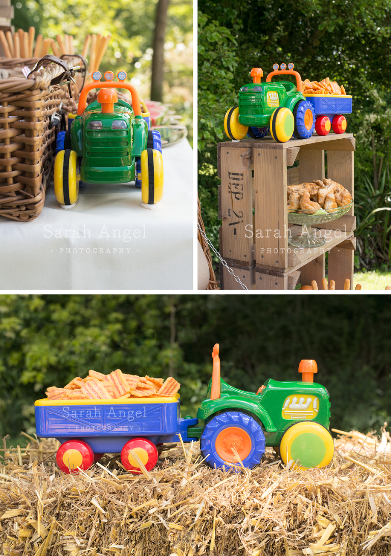 9_T2birthday_SarahAngelPhotography