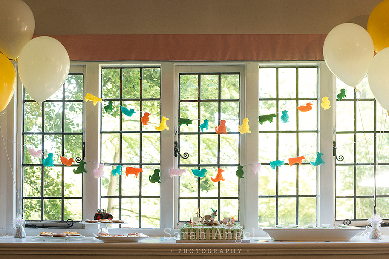 T2birthday_SarahAngelPhotography