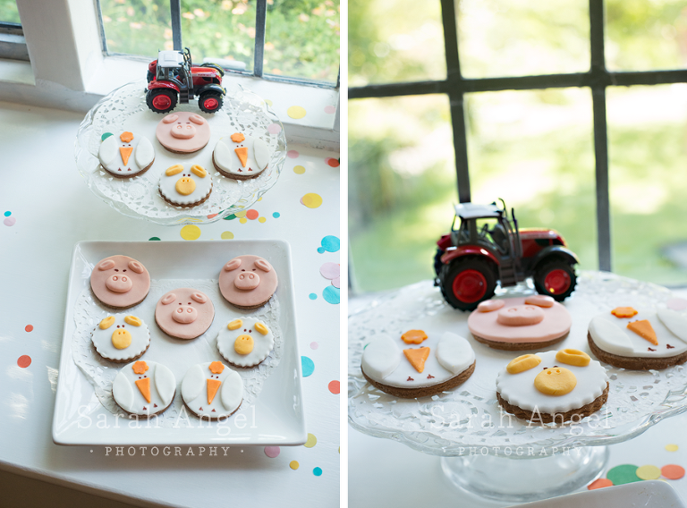 03_T2SarahAngelPhotography