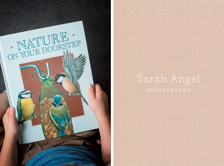 01_NatureTrail_SarahAngelPhotography