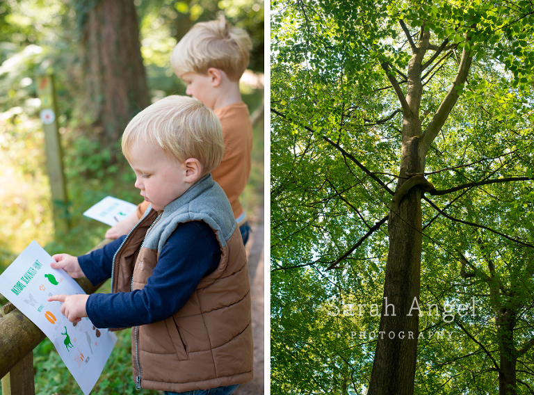 04_NatureTrail_SarahAngelPhotography