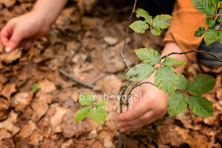 09_NatureTrail_SarahAngelPhotography
