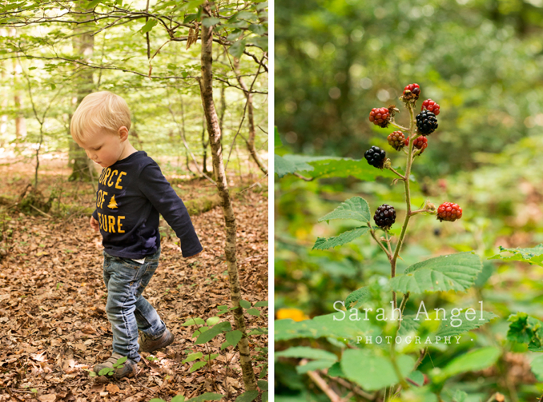 10_NatureTrail_SarahAngelPhotography