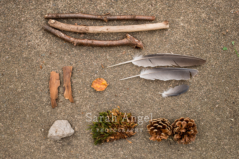 19_NatureTrail_SarahAngelPhotography