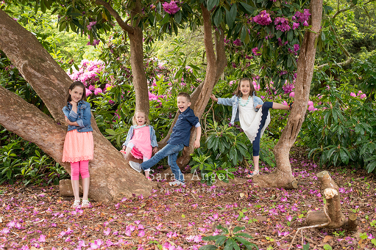 6_HappyEverAfter_SarahAngelPhotography