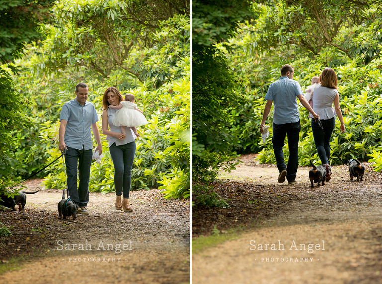 Baby and family photo session in Farnham Surrey Hampshire London Langley Park outdoor session
