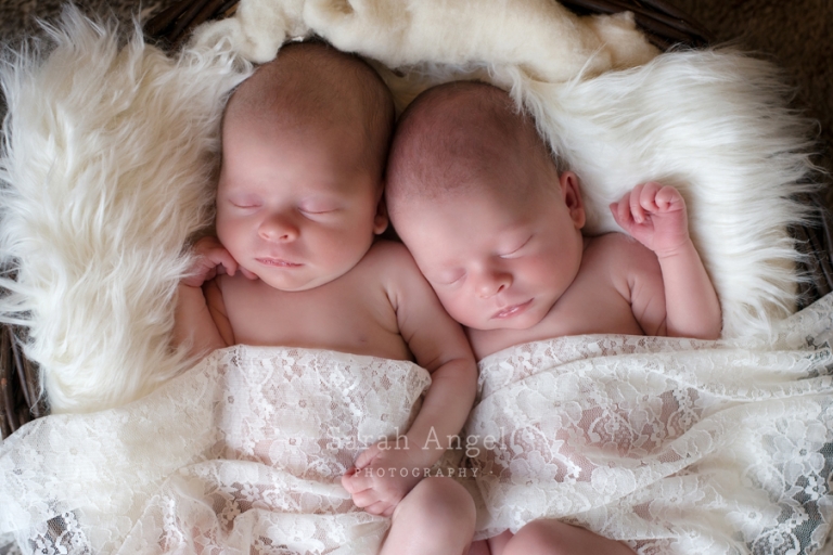 Newborn Twins Photographer Farnham Sarah Angel Photography