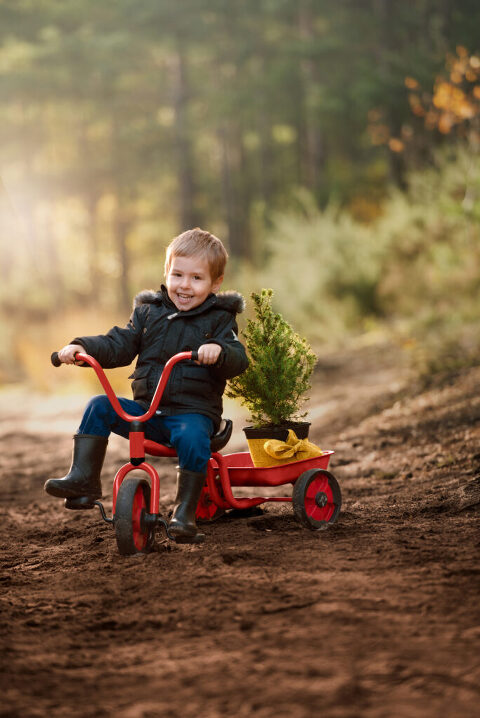 Freddie pictured here in Elstead, Farnham by your family photographer surrey Sarah Angel Photography