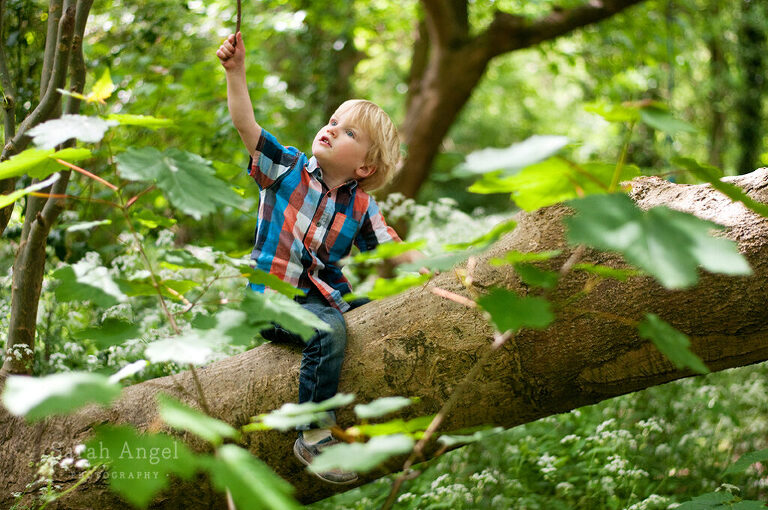 our family adventures in Farnham Surrey, with notes on sticks and pixels and my latest family sessions availability in Surrey and London. 