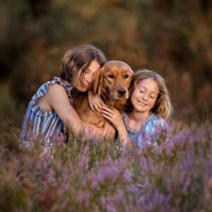 Summer Evening Mini Sessions