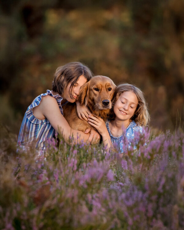Summer Evening Mini Sessions